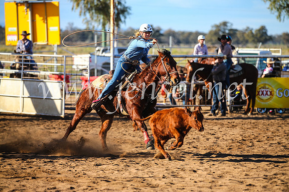 CoonambleRodeoCampdraftSun_2301