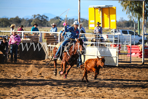 CoonambleRodeoCampdraftSun_2290