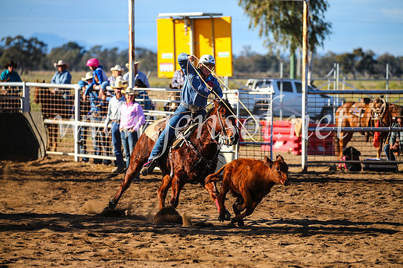 CoonambleRodeoCampdraftSun_2300