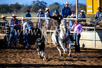 CoonambleRodeoCampdraftSun_2221