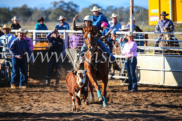 CoonambleRodeoCampdraftSun_2271