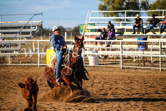 CoonambleRodeoCampdraftSun_2307