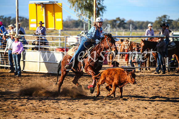 CoonambleRodeoCampdraftSun_2302