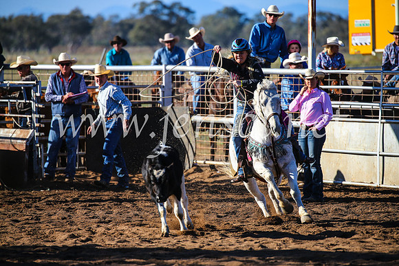 CoonambleRodeoCampdraftSun_2226