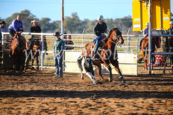 CoonambleRodeoCampdraftSun_1579