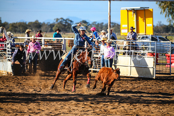 CoonambleRodeoCampdraftSun_2291