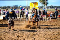 CoonambleRodeoCampdraftSun_2274