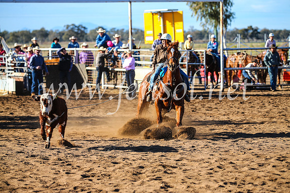 CoonambleRodeoCampdraftSun_2274