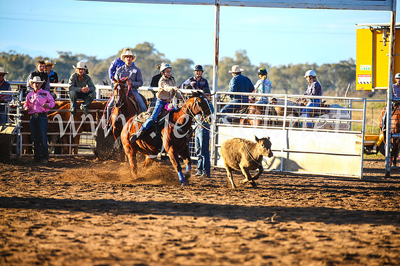 CoonambleRodeoCampdraftSun_1568