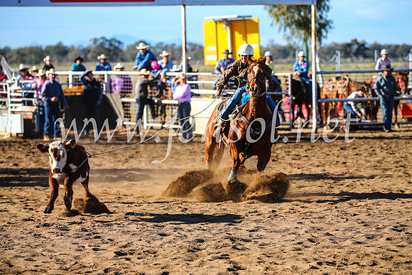 CoonambleRodeoCampdraftSun_2276