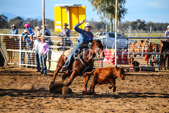 CoonambleRodeoCampdraftSun_2303