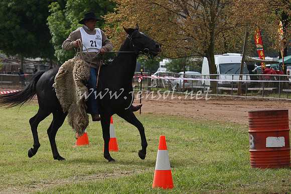 bobfri_0052_edited-1