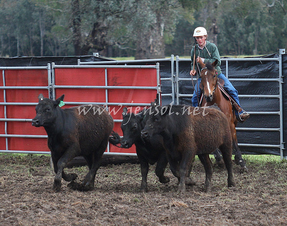 bobfri_0094_edited-1
