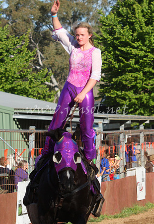 bobfri_0402_edited-1