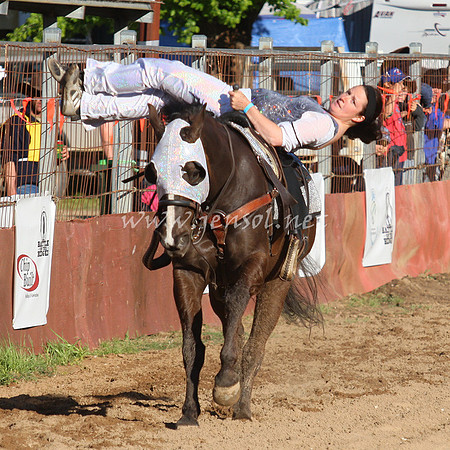 bobfri_0295_edited-1