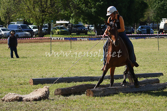 bobfri_0245_edited-1