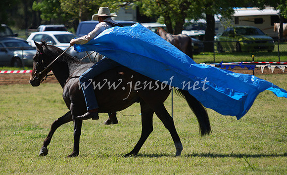 bobfri_0202_edited-1