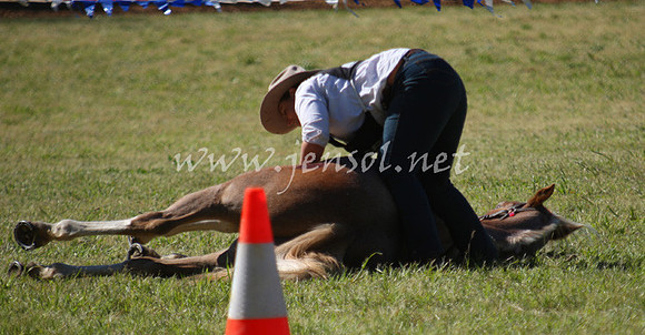 bobfri_0211_edited-1