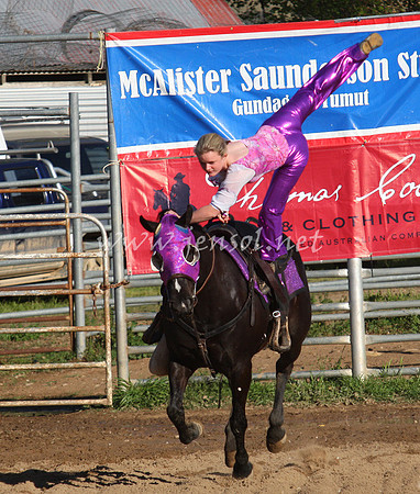 bobfri_0289_edited-1