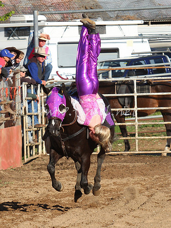 bobfri_0389_edited-1
