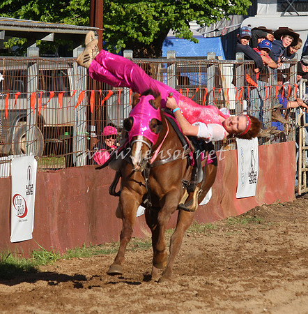 bobfri_0358_edited-1
