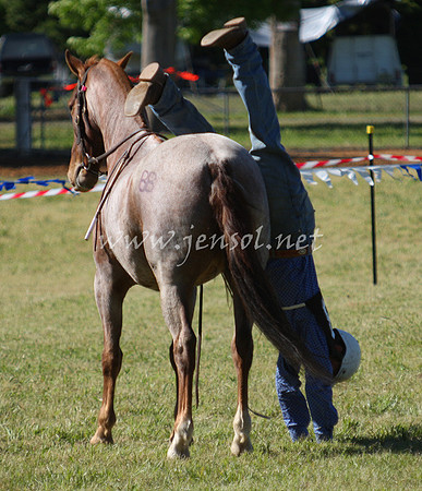 bobfri_0231_edited-1