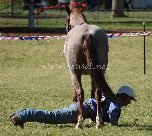 bobfri_0236_edited-1