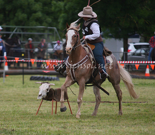 bobfri_0004_edited-1