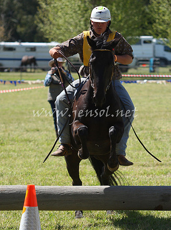 bobfri_0162_edited-1