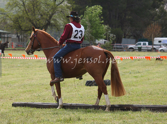 bobfri_0073_edited-1