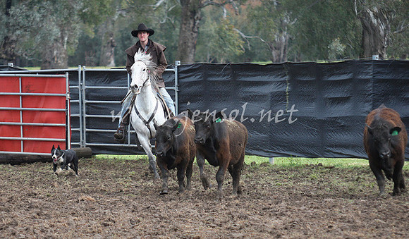 bobfri_0092_edited-1