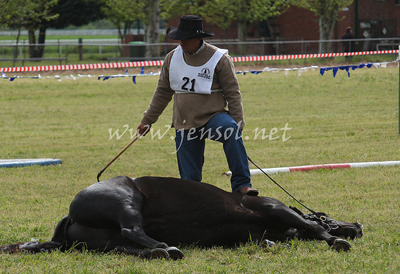 bobfri_0058_edited-1