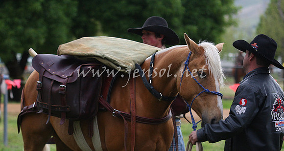 bobfri_0026_edited-1