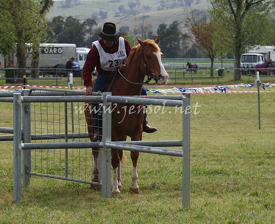 bobfri_0059_edited-1