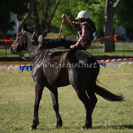 bobfri_0255_edited-1