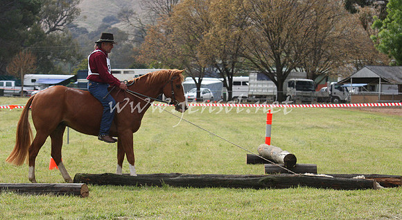 bobfri_0064_edited-1
