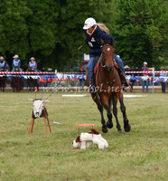 bobfri_0022_edited-1