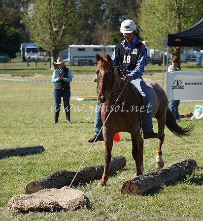 bobfri_0225_edited-1