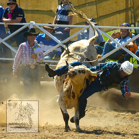 CoomaRodeo2007-99