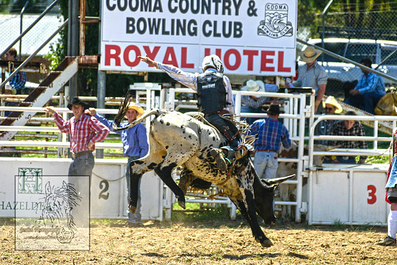 CoomaRodeo2007-110