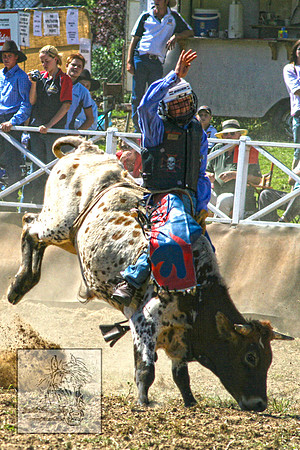 CoomaRodeo2007-108
