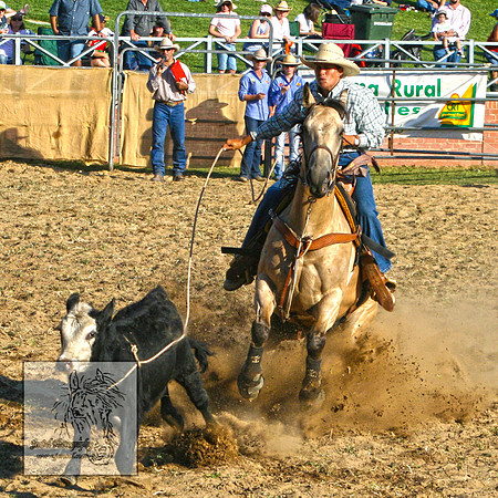 CoomaRodeo2007-228