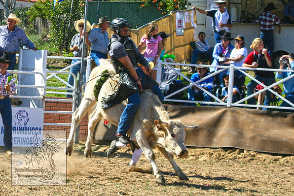 CoomaRodeo2007-123