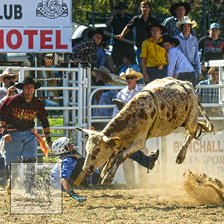 CoomaRodeo2007-204