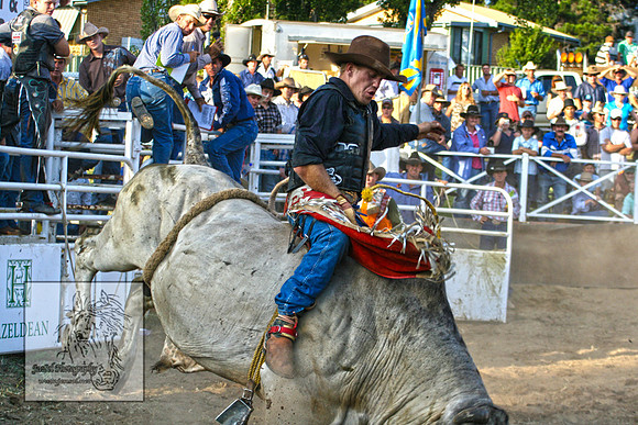 CoomaRodeo2007-255