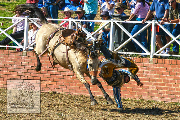 CoomaRodeo2007-150