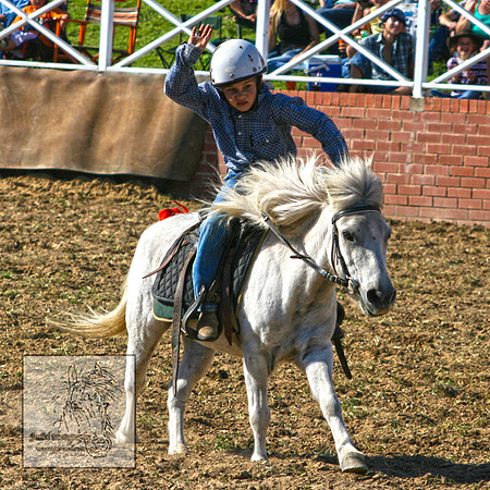 CoomaRodeo2007-181
