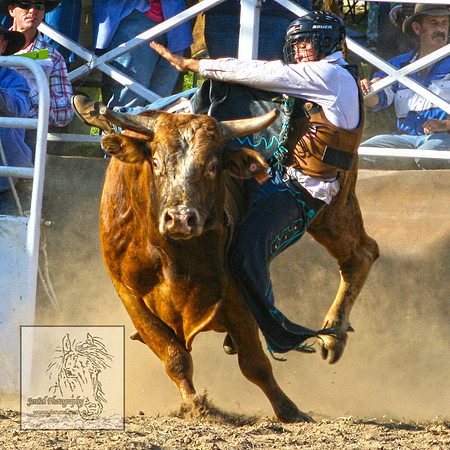 CoomaRodeo2007-225