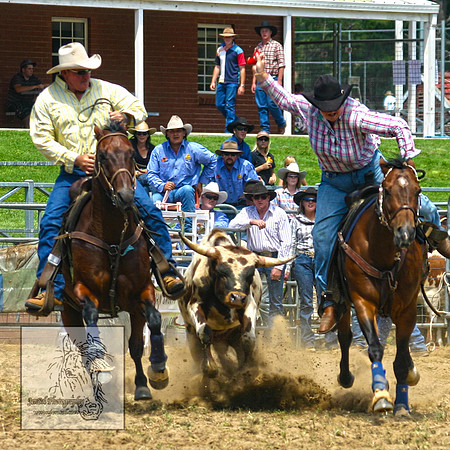 CoomaRodeo2007-93