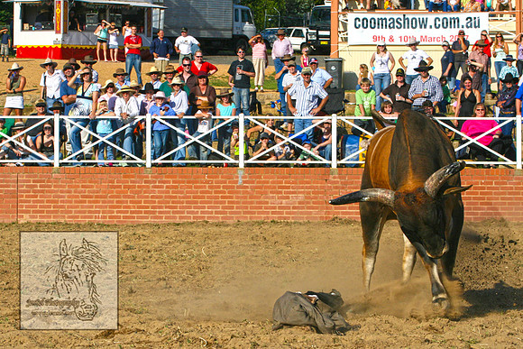 CoomaRodeo2007-219